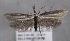  ( - MM25614)  @14 [ ] CreativeCommons - Attribution Non-Commercial (2017) Marko Mutanen University of Oulu