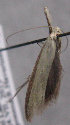  ( - MM25615)  @13 [ ] CreativeCommons - Attribution Non-Commercial (2017) Marko Mutanen University of Oulu