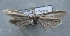  ( - MM25630)  @11 [ ] CreativeCommons - Attribution Non-Commercial (2017) Marko Mutanen University of Oulu