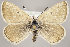  ( - MM25742)  @11 [ ] CreativeCommons - Attribution Non-Commercial (2018) Marko Mutanen University of Oulu