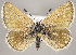  ( - MM25744)  @11 [ ] CreativeCommons - Attribution Non-Commercial (2018) Marko Mutanen University of Oulu