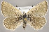  ( - MM25746)  @11 [ ] CreativeCommons - Attribution Non-Commercial (2018) Marko Mutanen University of Oulu