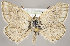  ( - MM25747)  @11 [ ] CreativeCommons - Attribution Non-Commercial (2018) Marko Mutanen University of Oulu