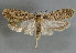  ( - MM25871)  @12 [ ] CreativeCommons - Attribution Non-Commercial (2017) Marko Mutanen University of Oulu