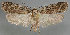  ( - MM25880)  @13 [ ] CreativeCommons - Attribution Non-Commercial (2017) Marko Mutanen University of Oulu