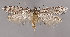  ( - MM25918)  @11 [ ] CreativeCommons - Attribution Non-Commercial (2017) Marko Mutanen University of Oulu