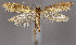  ( - MM25928)  @13 [ ] CreativeCommons - Attribution Non-Commercial (2017) Marko Mutanen University of Oulu