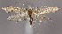  ( - MM25929)  @13 [ ] CreativeCommons - Attribution Non-Commercial (2017) Marko Mutanen University of Oulu