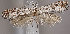  ( - MM25941)  @12 [ ] CreativeCommons - Attribution Non-Commercial (2017) Marko Mutanen University of Oulu