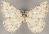  ( - MM25988)  @11 [ ] CreativeCommons - Attribution Non-Commercial (2018) Marko Mutanen University of Oulu