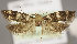  ( - MM25996)  @13 [ ] CreativeCommons - Attribution Non-Commercial (2018) Marko Mutanen University of Oulu