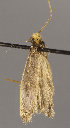  ( - MM26020)  @12 [ ] CreativeCommons - Attribution Non-Commercial (2017) Marko Mutanen University of Oulu