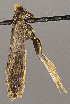  ( - MM26021)  @12 [ ] CreativeCommons - Attribution Non-Commercial (2017) Marko Mutanen University of Oulu
