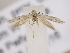  ( - MM26102)  @11 [ ] CreativeCommons - Attribution Non-Commercial (2018) Marko Mutanen University of Oulu