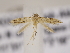  ( - MM26105)  @11 [ ] CreativeCommons - Attribution Non-Commercial (2018) Marko Mutanen University of Oulu
