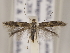  ( - MM26110)  @11 [ ] CreativeCommons - Attribution Non-Commercial (2018) Marko Mutanen University of Oulu