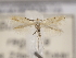  ( - MM26119)  @12 [ ] CreativeCommons - Attribution Non-Commercial (2018) Marko Mutanen University of Oulu