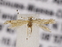  ( - MM26121)  @11 [ ] CreativeCommons - Attribution Non-Commercial (2018) Marko Mutanen University of Oulu
