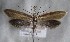  ( - MM26301)  @11 [ ] CreativeCommons - Attribution Non-Commercial (2019) Marko Mutanen University of Oulu