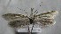 ( - MM26308)  @11 [ ] CreativeCommons - Attribution Non-Commercial (2019) Marko Mutanen University of Oulu