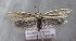  ( - MM26309)  @11 [ ] CreativeCommons - Attribution Non-Commercial (2019) Marko Mutanen University of Oulu