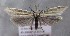  ( - MM26310)  @11 [ ] CreativeCommons - Attribution Non-Commercial (2019) Marko Mutanen University of Oulu