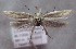  ( - MM26317)  @11 [ ] CreativeCommons - Attribution Non-Commercial (2019) Marko Mutanen University of Oulu