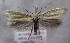  ( - MM26318)  @11 [ ] CreativeCommons - Attribution Non-Commercial (2019) Marko Mutanen University of Oulu