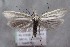  ( - MM26319)  @11 [ ] CreativeCommons - Attribution Non-Commercial (2019) Marko Mutanen University of Oulu