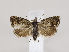  ( - MM26390)  @11 [ ] CreativeCommons - Attribution Non-Commercial (2019) Marko Mutanen University of Oulu
