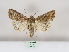  ( - MM26398)  @11 [ ] CreativeCommons - Attribution Non-Commercial (2019) Marko Mutanen University of Oulu