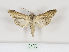  ( - MM26413)  @11 [ ] CreativeCommons - Attribution Non-Commercial (2019) Marko Mutanen University of Oulu