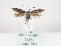  ( - MM26434)  @11 [ ] CreativeCommons - Attribution Non-Commercial (2019) Marko Mutanen University of Oulu