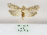  ( - MM26446)  @11 [ ] CreativeCommons - Attribution Non-Commercial (2019) Marko Mutanen University of Oulu