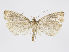  ( - MM26634)  @11 [ ] CreativeCommons - Attribution Non-Commercial (2019) Marko Mutanen University of Oulu