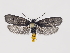  ( - MM26666)  @11 [ ] by-nc (2020) Marko Mutanen University of Oulu