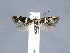  ( - MM26672)  @11 [ ] by-nc (2020) Marko Mutanen University of Oulu