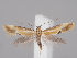  ( - MM26793)  @14 [ ] CreativeCommons - Attribution Non-Commercial (2018) Marko Mutanen University of Oulu