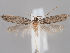  ( - MM26812)  @13 [ ] CreativeCommons - Attribution Non-Commercial (2018) Marko Mutanen University of Oulu