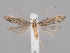  ( - MM26813)  @11 [ ] CreativeCommons - Attribution Non-Commercial (2018) Marko Mutanen University of Oulu