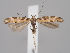 ( - MM26816)  @14 [ ] CreativeCommons - Attribution Non-Commercial (2018) Marko Mutanen University of Oulu