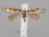  ( - MM26819)  @14 [ ] CreativeCommons - Attribution Non-Commercial (2018) Marko Mutanen University of Oulu