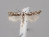  ( - MM26851)  @11 [ ] CreativeCommons - Attribution Non-Commercial (2018) Marko Mutanen University of Oulu