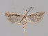  ( - MM26857)  @11 [ ] CreativeCommons - Attribution Non-Commercial (2018) Marko Mutanen University of Oulu