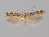  ( - MM26888)  @11 [ ] CreativeCommons - Attribution Non-Commercial (2018) Marko Mutanen University of Oulu
