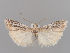  ( - MM26929)  @11 [ ] CreativeCommons - Attribution Non-Commercial (2018) Marko Mutanen University of Oulu