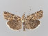  ( - MM26943)  @11 [ ] CreativeCommons - Attribution Non-Commercial (2018) Marko Mutanen University of Oulu