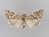  ( - MM26952)  @11 [ ] CreativeCommons - Attribution Non-Commercial (2018) Marko Mutanen University of Oulu