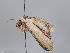  ( - MM26964)  @11 [ ] CreativeCommons - Attribution Non-Commercial (2018) Marko Mutanen University of Oulu