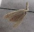  ( - MM27062)  @11 [ ] by-nc (2021) Marko Mutanen University of Oulu